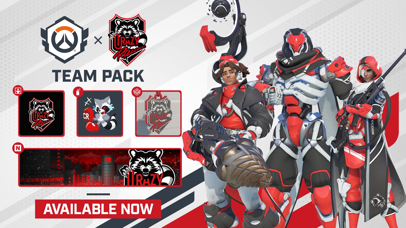 Official Overwatch artwork accompanying Partner Team Packs.